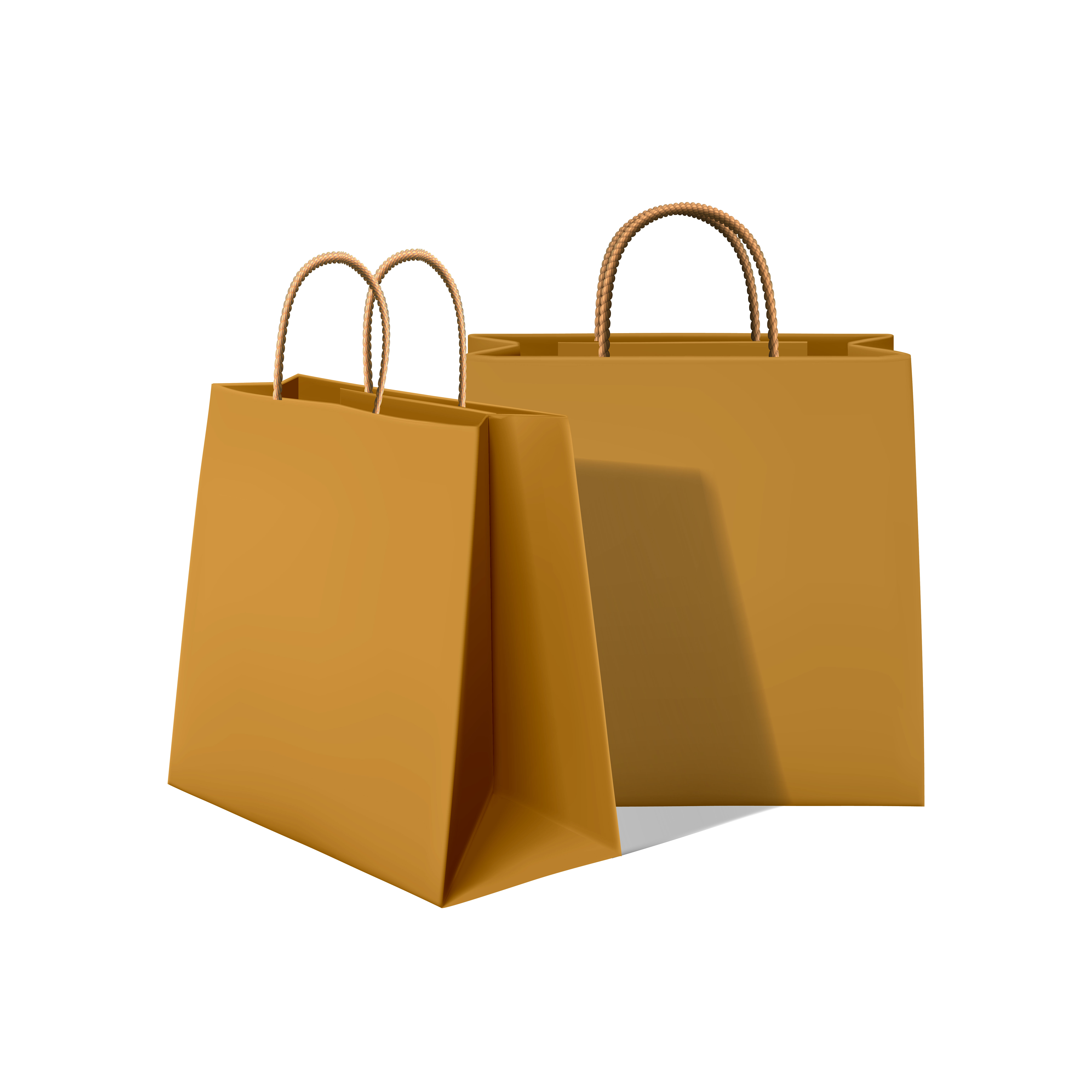 Biodegradable Paper Bags